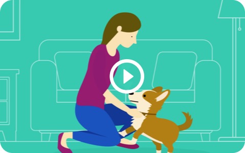 video placeholder