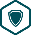 Icon of a shield